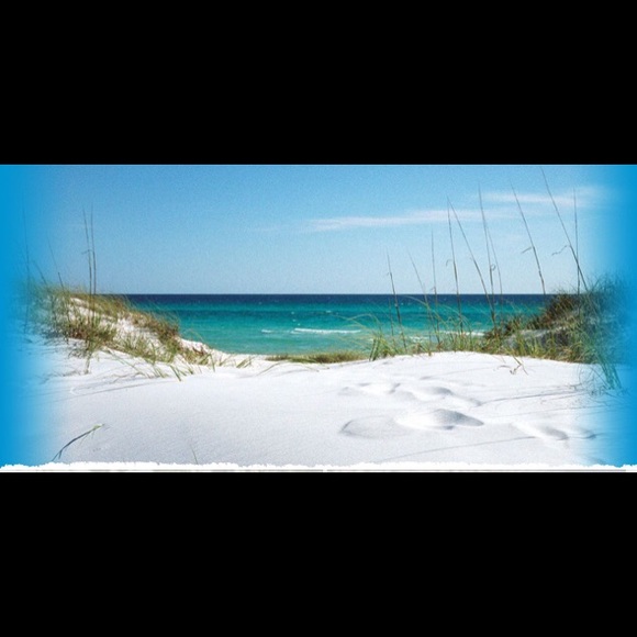 Meet your Posher, Lisa - Picture 1 of 1